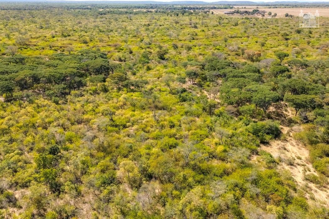 Longwood Estate supplied site image 1.