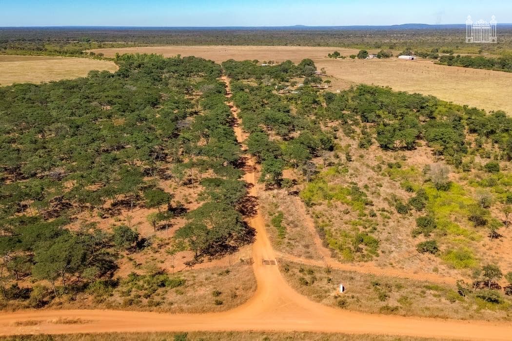 Longwood Estate supplied landscape image 12.