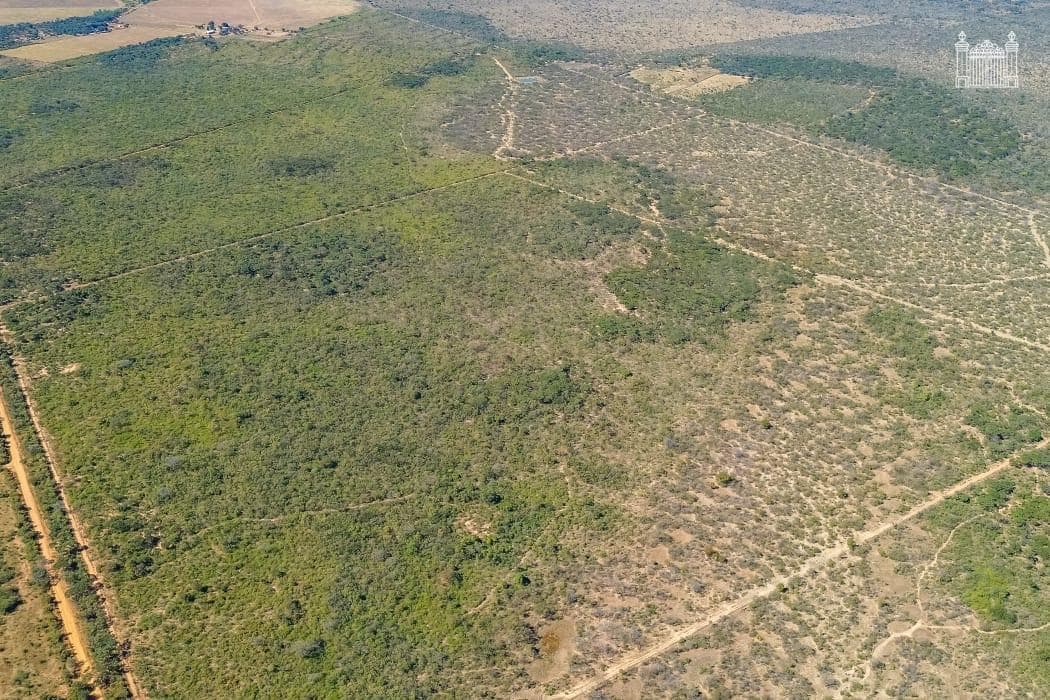 Longwood Estate supplied site image 19.