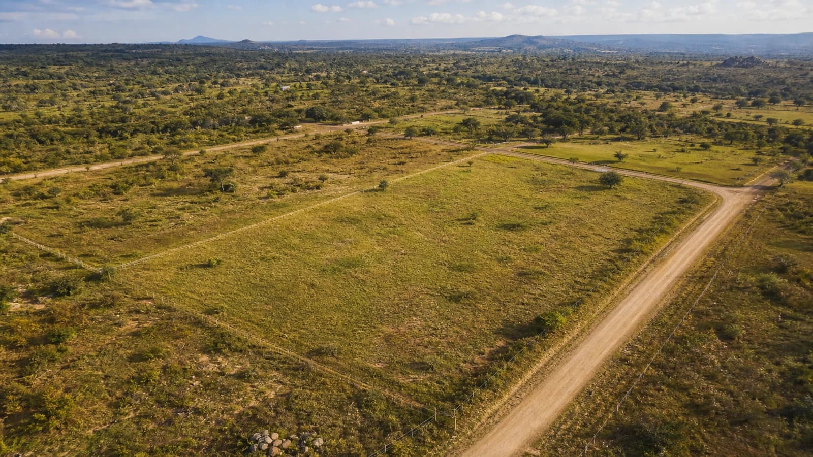 Aerial concept view of spacious one-acre residential plots connected by estate roads at Longwood Estate